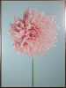 Pintura al por mayor de la flor rosada del colgante de pared del arte del estilo nórdico de H800mm * 600m m