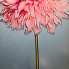 Pintura al por mayor de la flor rosada del colgante de pared del arte del estilo nórdico de H800mm * 600m m